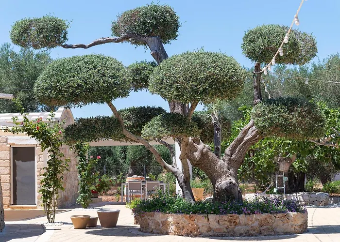 Дом отдыха Pietra800 Мезанье