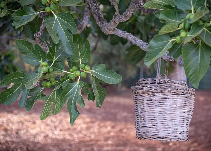 Pietra800 Дом отдыха *